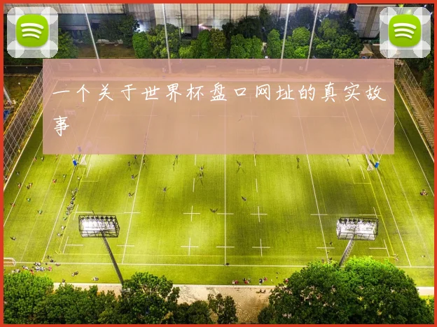 一个关于世界杯盘口网址的真实故事