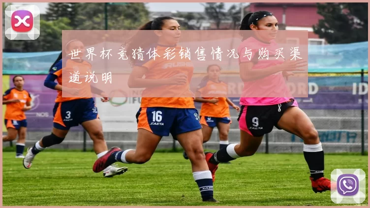 世界杯竞猜体彩销售情况与购买渠道说明