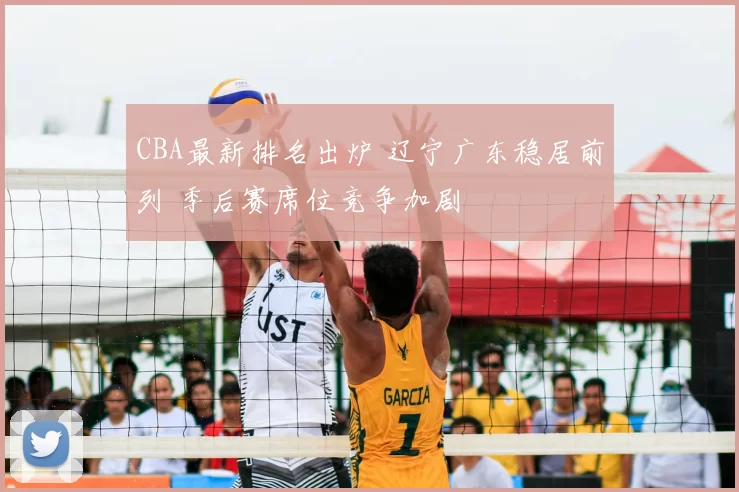 CBA最新排名出炉 辽宁广东稳居前列 季后赛席位竞争加剧