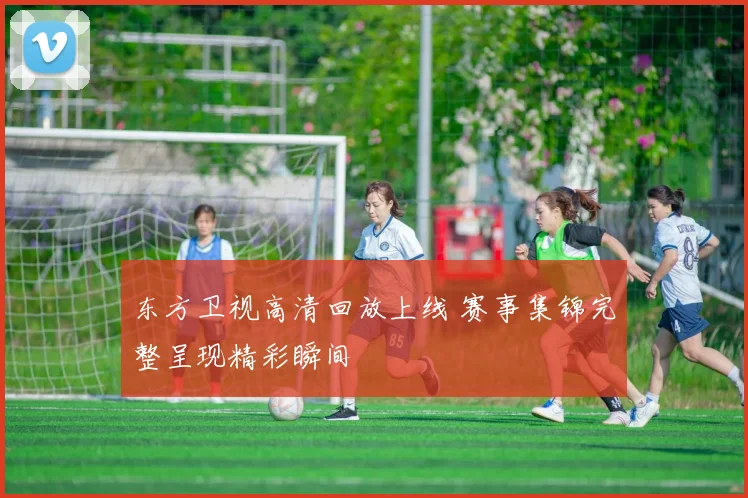 东方卫视高清回放上线 赛事集锦完整呈现精彩瞬间