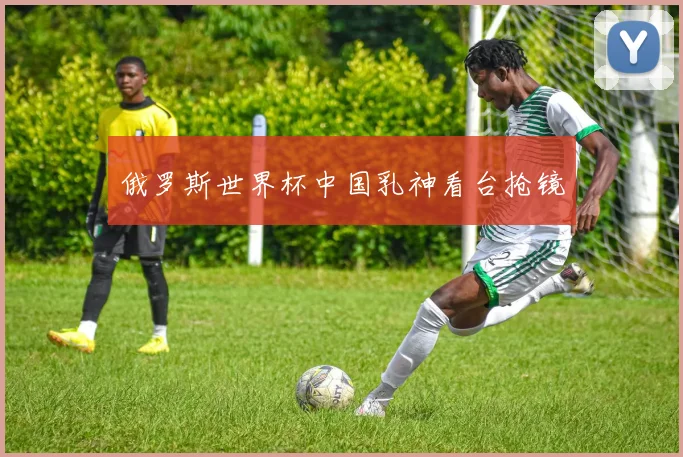 俄罗斯世界杯中国乳神看台抢镜